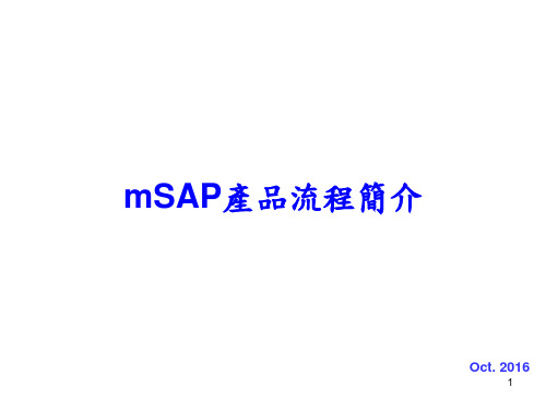 mSAP产品流程简介-中文-V03复习过程