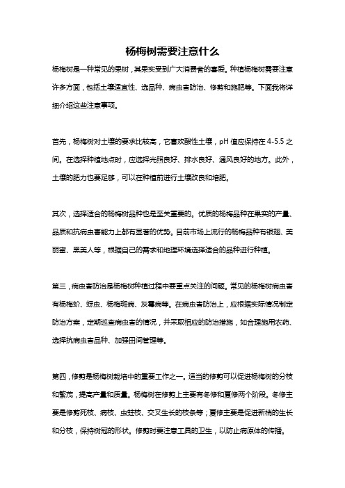 杨梅树需要注意什么