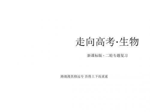 高三生物二轮专题精讲课件 (考情预测 考点整合 热点示例)专题四 第一讲 遗传的物质基础与基因表达