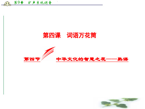 高中语文人教选修《语言文字应用》课件：4.4 中华文化的智慧之花——熟语