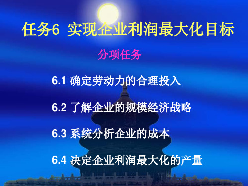 任务6实现企业利润最大化.pptx