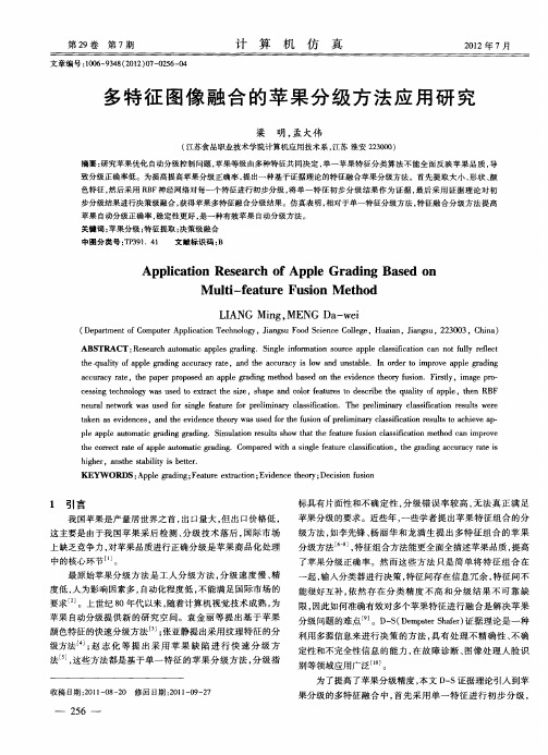 多特征图像融合的苹果分级方法应用研究