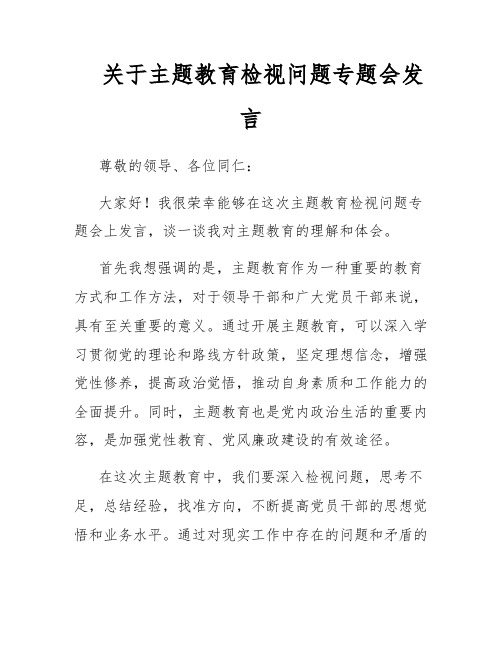 关于主题教育检视问题专题会发言