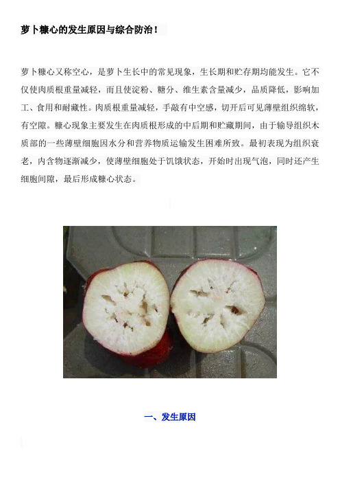 萝卜糠心的发生原因与综合防治