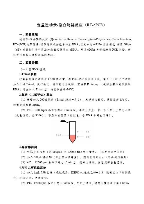 定量逆转录-聚合酶链反应(RT-qPCR)