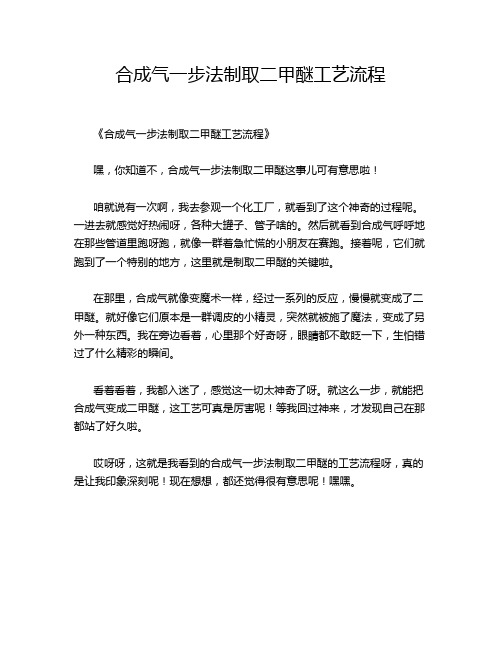 合成气一步法制取二甲醚工艺流程