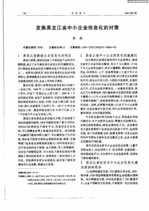 发展黑龙江省中小企业信息化的对策