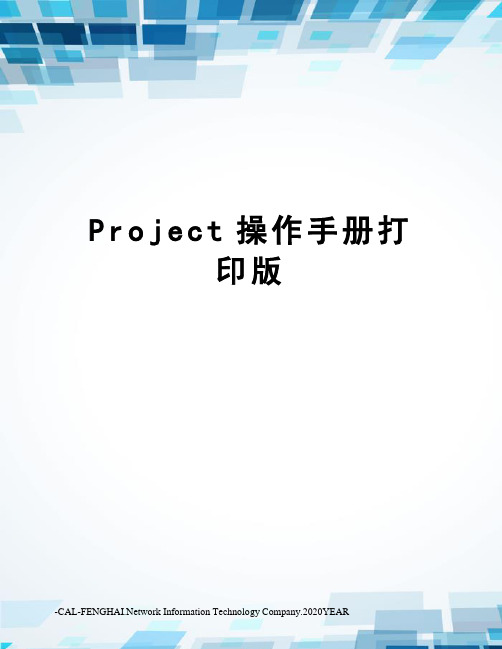 Project操作手册打印版