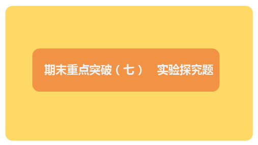 期末重点突破(七)实验探究题课件九年级化学人教版(2024)上册