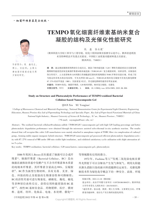 27147081_TEMPO氧化细菌纤维素基纳米复合凝胶的结构及光催化性能研究