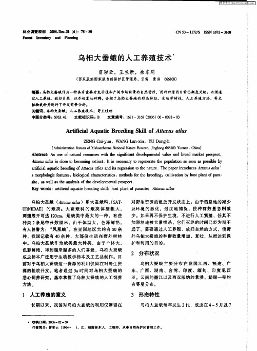 乌桕大蚕蛾的人工养殖技术