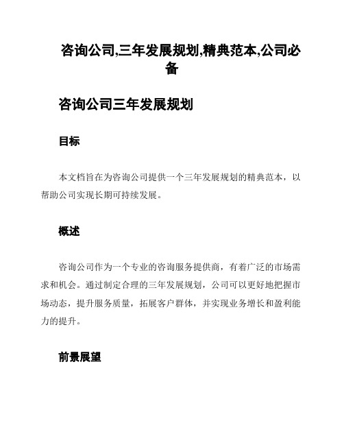 咨询公司,三年发展规划,精典范本,公司必备