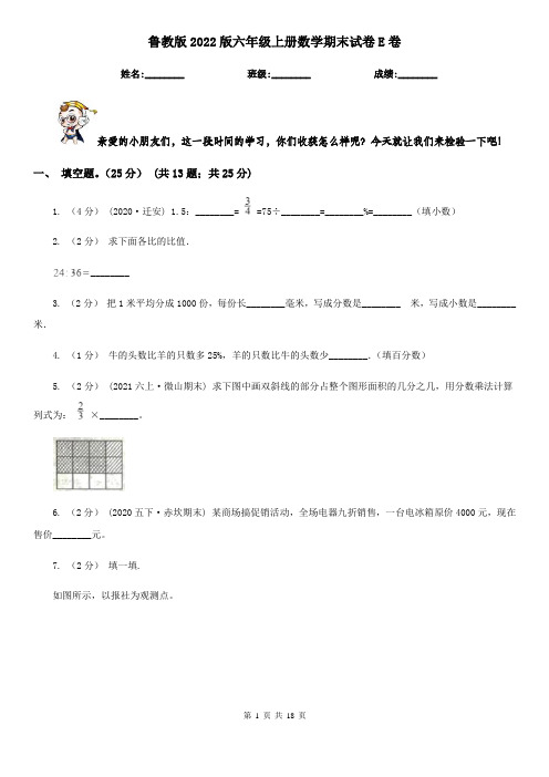 鲁教版2022版六年级上册数学期末试卷E卷