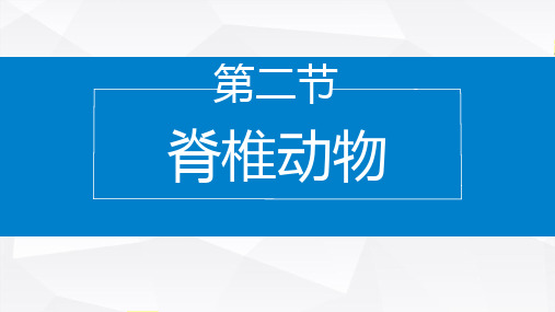 2.4.2 脊椎动物(课件)七年级生物上学期(2024苏教版)