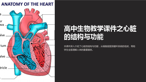 高中生物教学课件之心脏的结构与功能