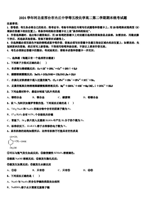 2024学年河北省邢台市内丘中学等五校化学高二第二学期期末统考试题(含解析)