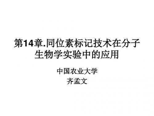 第14章同位素标记技术在分子生物学实验技术中的应用