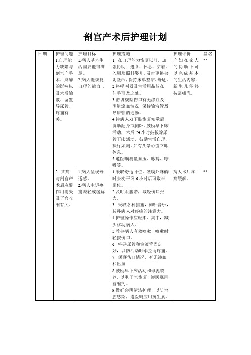 剖宫产术后护理计划