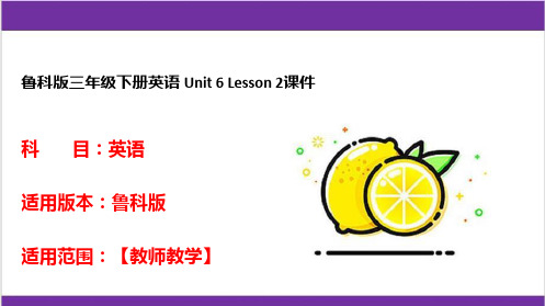 鲁科版三年级下册英语 Unit 6 Lesson 2课件