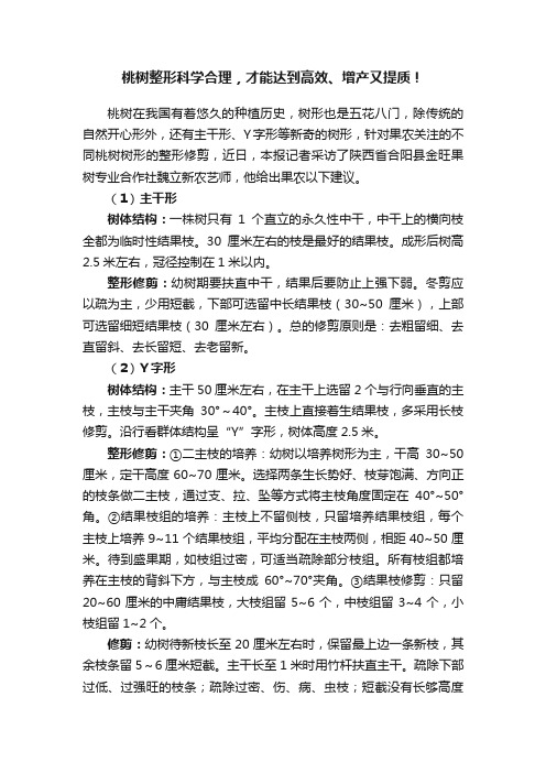 桃树整形科学合理，才能达到高效、增产又提质！