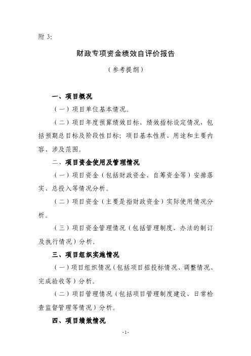 财政专项资金绩效自评价报告