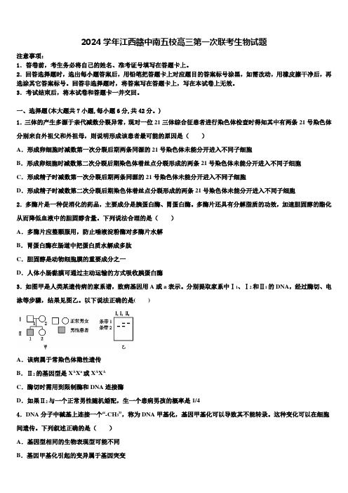 2024学年江西赣中南五校高三第一次联考生物试题含解析