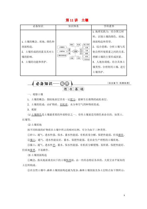 新教材高考地理一轮复习第五章植被与土壤第11讲土壤学案新人教版