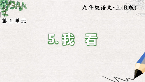 部编本人教版九年级语文上册课件:5.我看