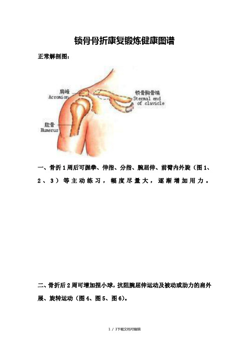 锁骨骨折康复锻炼健康图谱