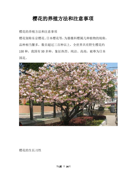 樱花的养殖方法和注意事项