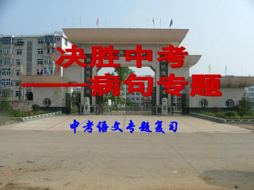 最新决胜中考——病句专题复习名师资料合集
