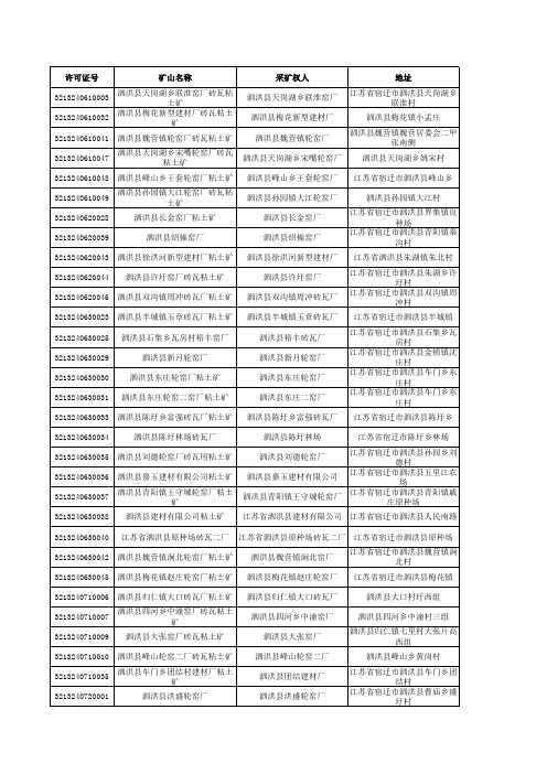 采矿权数据核查列表