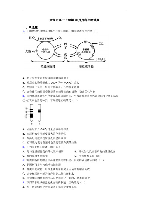 太原市高一上学期12月月考生物试题