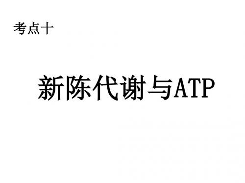 高一生物新陈代谢与atp