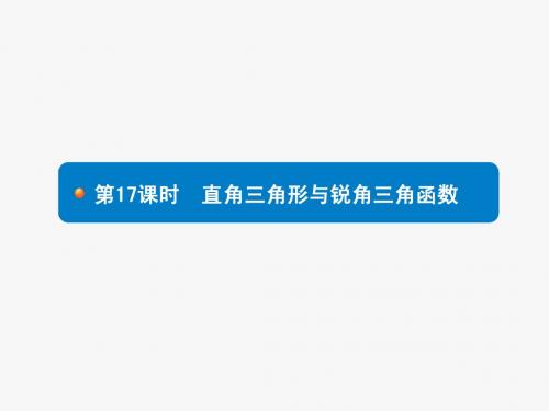 2015年初中数学中考总复习全优设计第17课时 直角三角形与锐角三角函数