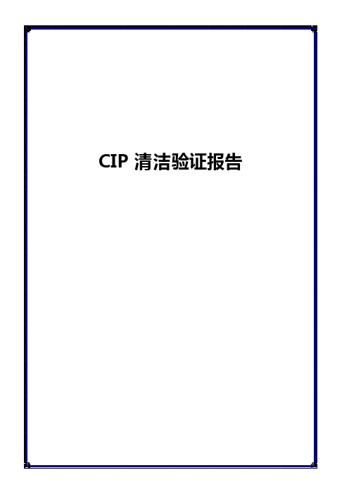 CIP清洁验证报告