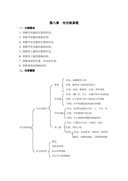 人体解剖学课后习题内分泌系统(含答案)