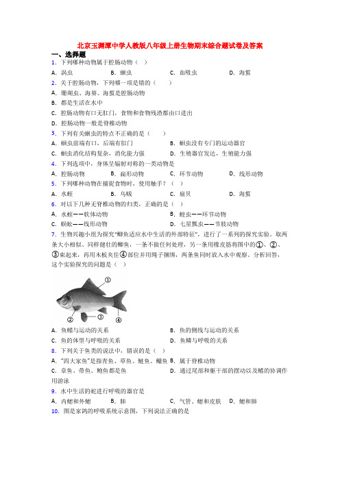 北京玉渊潭中学人教版八年级上册生物期末综合题试卷及答案