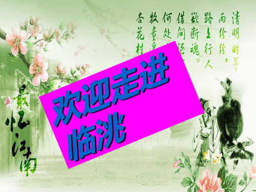 走进临洮