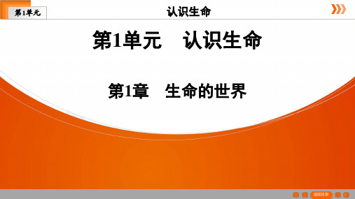 中考生物一轮复习广东省专用七年级上册第1单元第1章 生命的世界课件