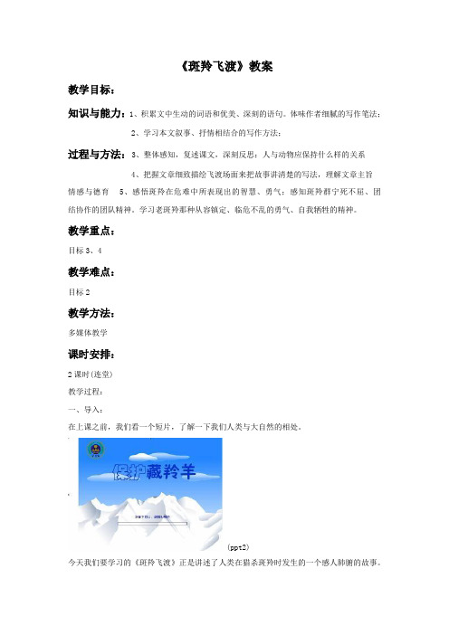 《斑羚飞渡》教案5+优质公开课统编