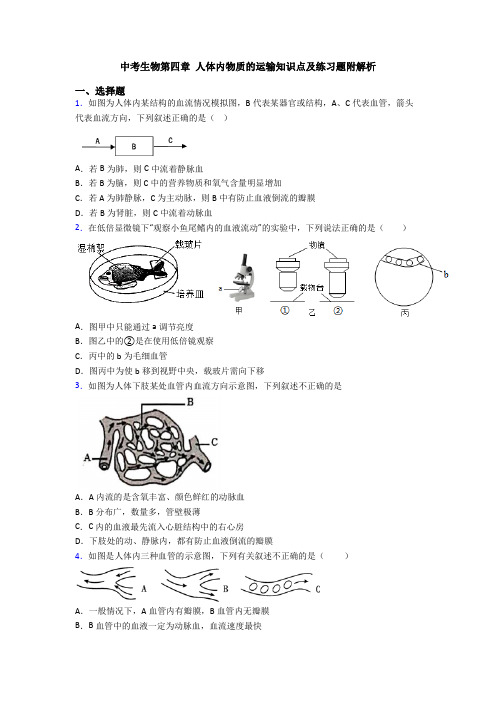 中考生物第四章 人体内物质的运输知识点及练习题附解析