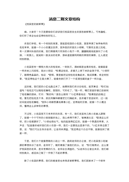 消息二则文章结构