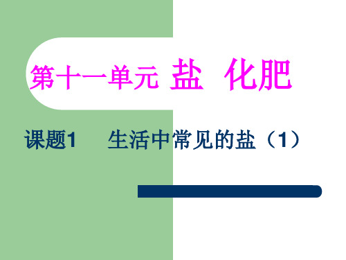 人教九年级化学下册第11单元1生活中常见的盐(共15张PPT)