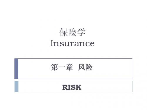 保险学1风险