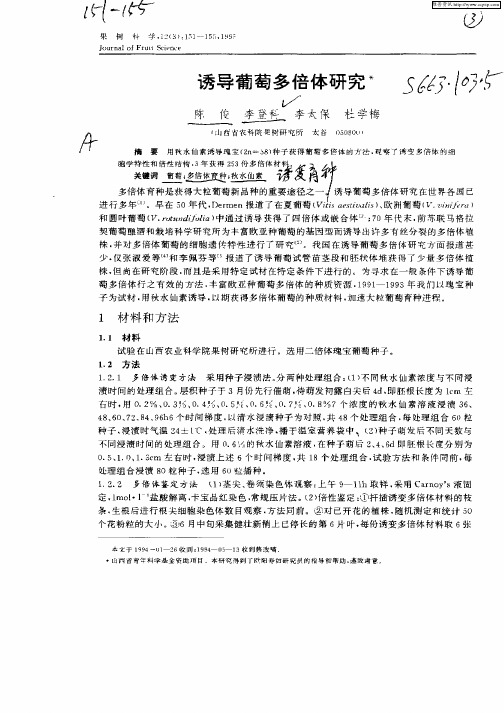 诱导葡萄多倍体研究