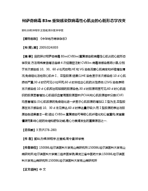 柯萨奇病毒B3m重复感染致病毒性心肌炎的心脏形态学改变