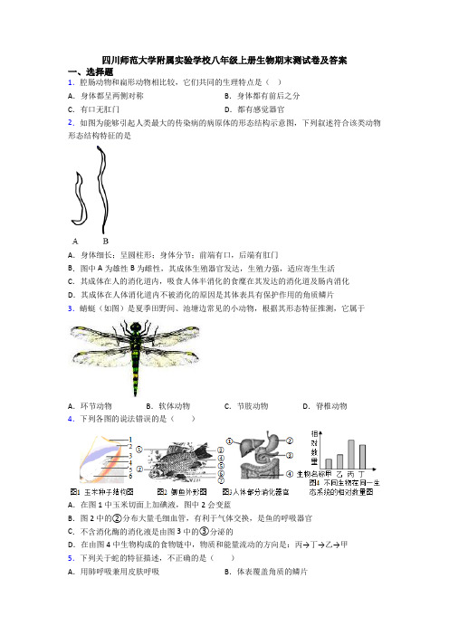 四川师范大学附属实验学校八年级上册生物期末测试卷及答案