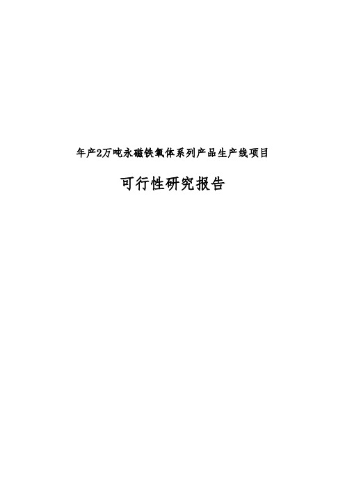 年产2万吨永磁铁氧体系列产品生产线项目可行性实施报告