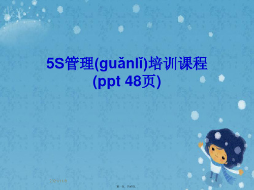 5S管理培训课程(ppt 48页)